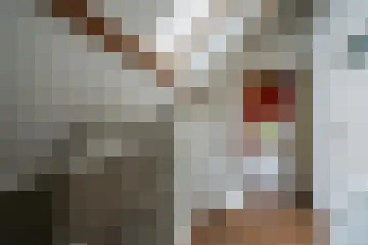 Zijpe 3 Bruinisse thumbnail 59