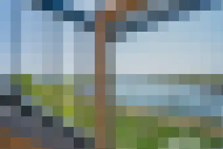 Zijpe 3 Bruinisse thumbnail 60