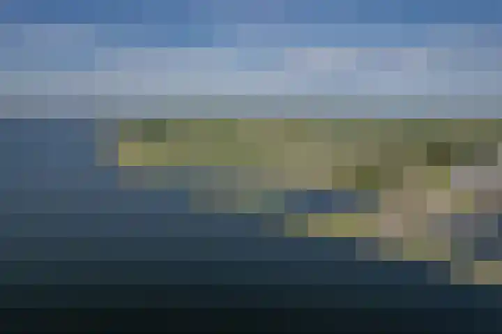 Zijpe 3 Bruinisse thumbnail 65