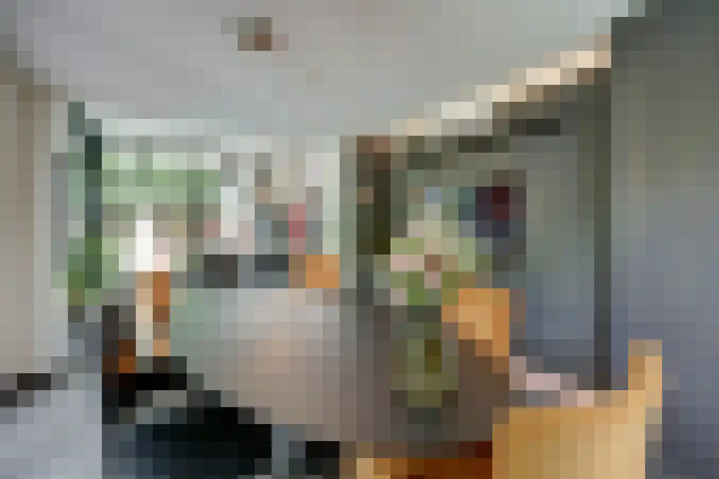 Zijpendaal 48 Enschede thumbnail 15