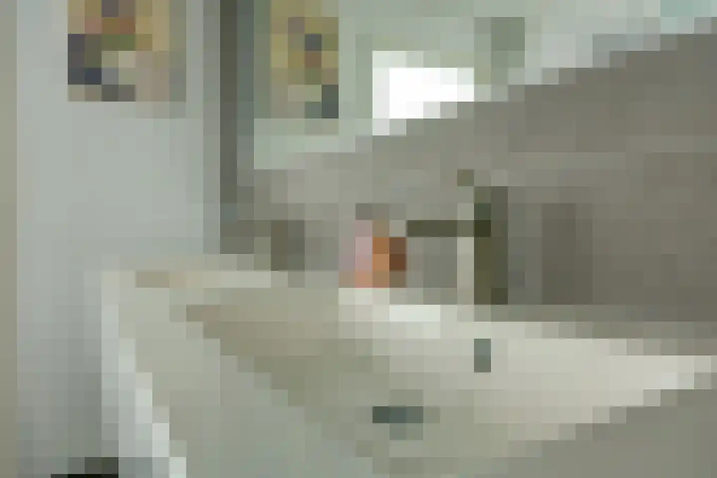 Zijpendaal 48 Enschede thumbnail 27