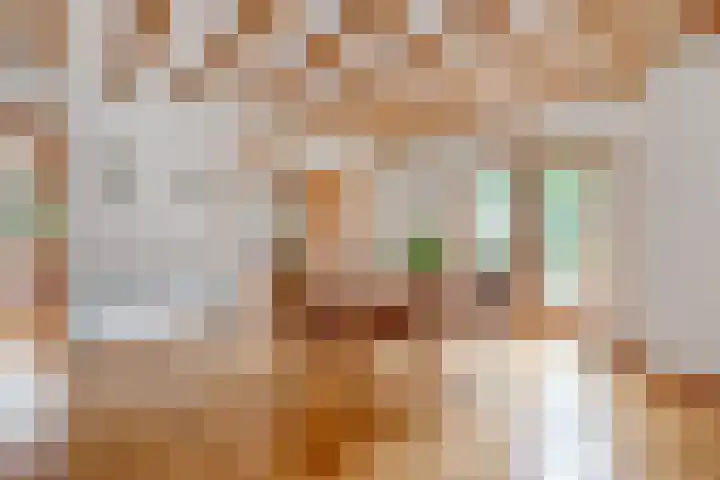 Zijstraat 28 De Moer thumbnail 11