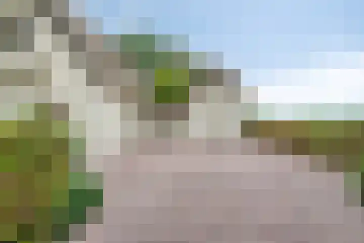 Zijstraat 28 De Moer thumbnail 33