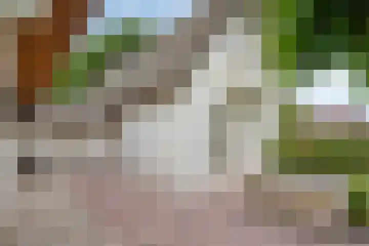 Zijstraat 28 De Moer thumbnail 37