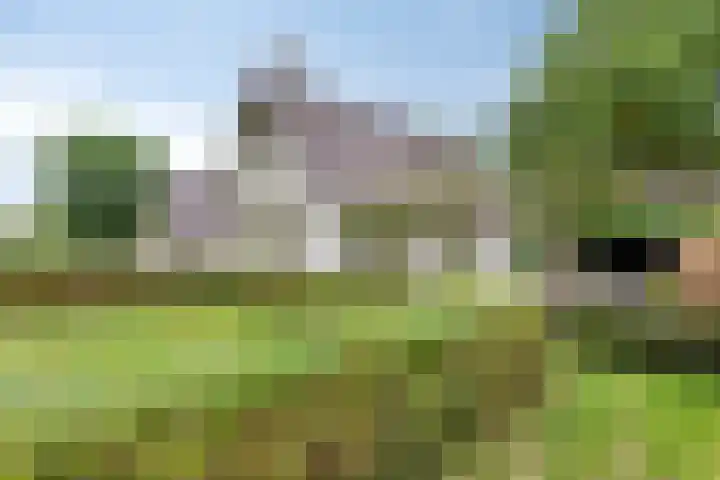 Zijstraat 28 De Moer thumbnail 39