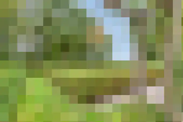 Zijstraat 28 De Moer thumbnail 43
