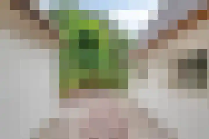 Zijstraat 28 De Moer thumbnail 44