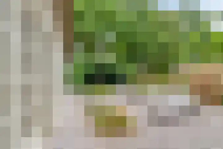 Zijstraat 28 De Moer thumbnail 48