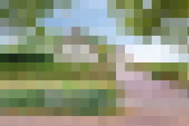 Zijstraat 28 De Moer thumbnail 5
