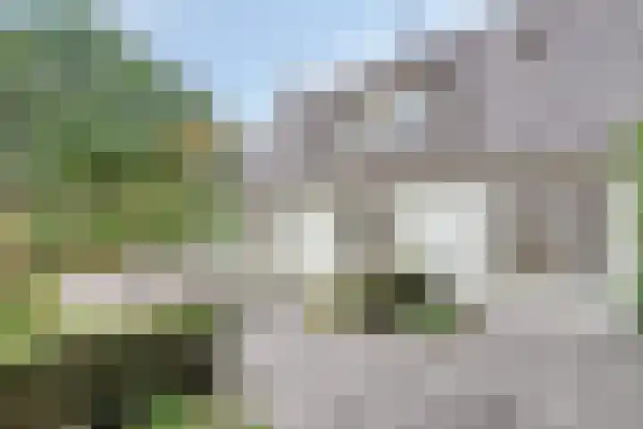 Zijstraat 28 De Moer thumbnail 50
