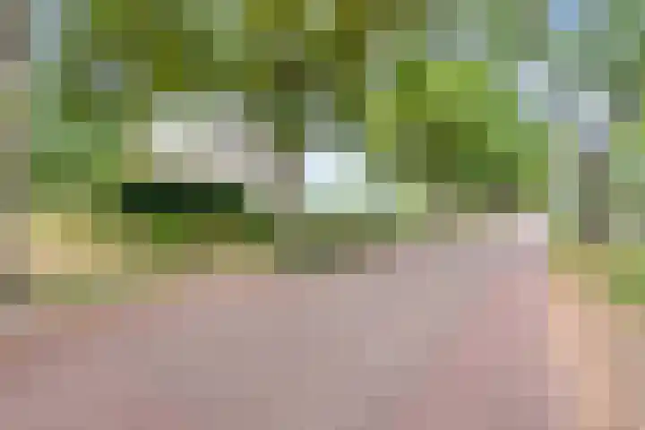 Zijstraat 28 De Moer thumbnail 52