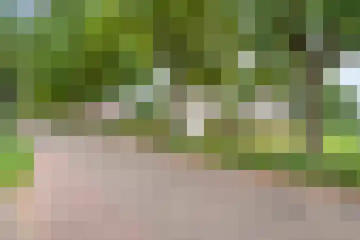 Zijstraat 28 De Moer thumbnail 53