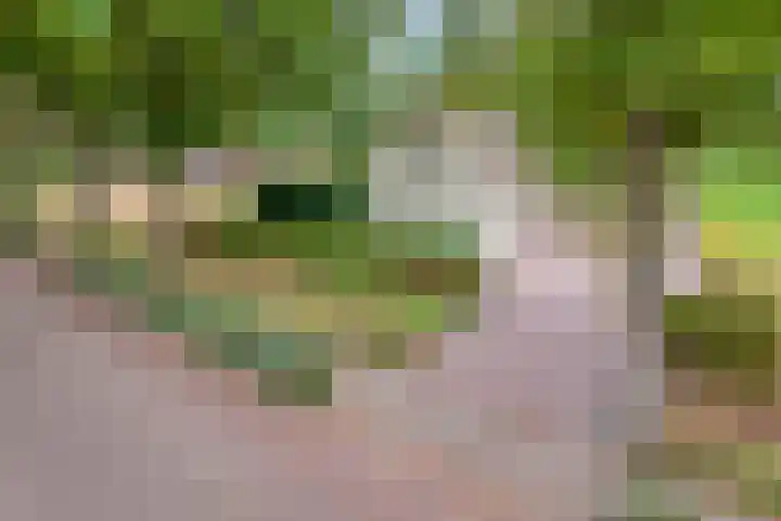 Zijstraat 28 De Moer thumbnail 6