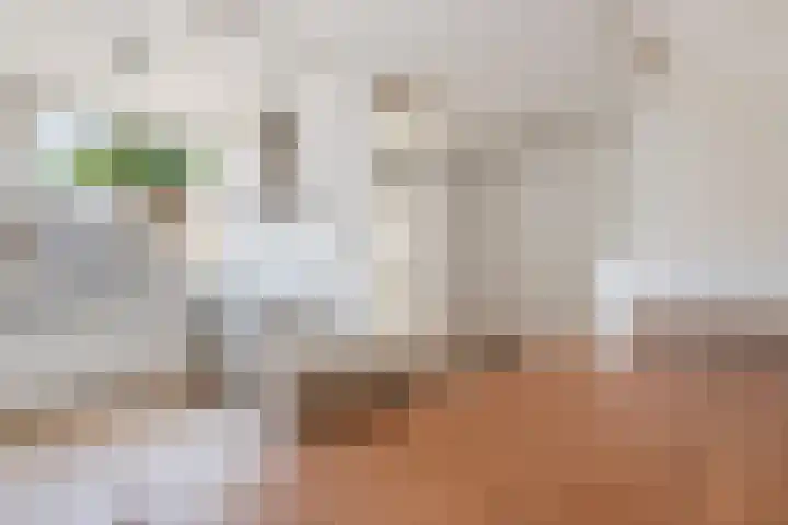 Zilverberg 21 Zoetermeer thumbnail 14