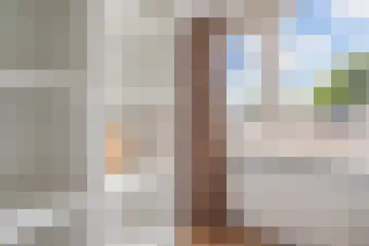 Zilverberg 21 Zoetermeer thumbnail 35