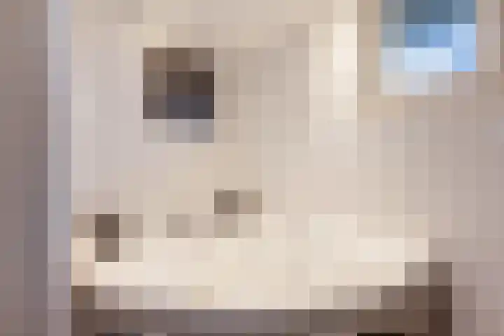 Zilverberg 21 Zoetermeer thumbnail 39