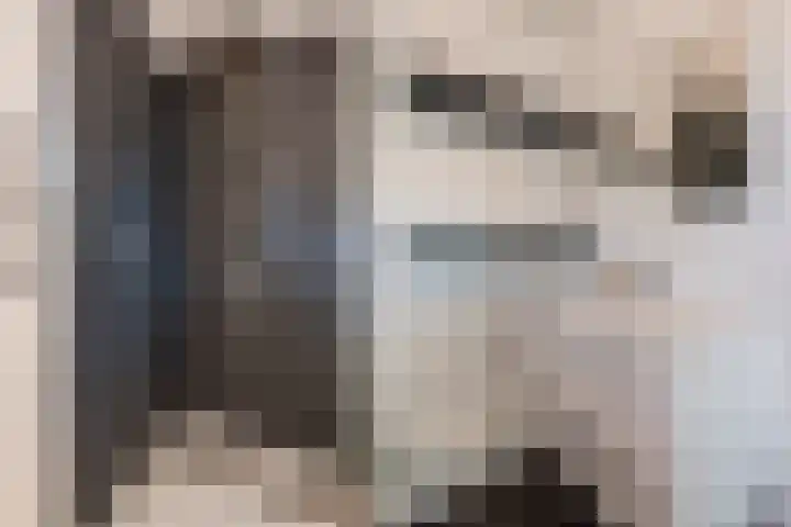 Zilverberg 21 Zoetermeer thumbnail 40