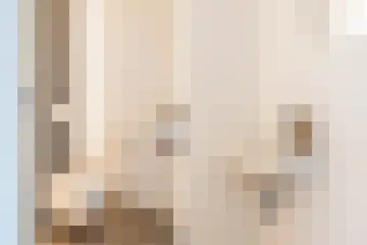 Zilverberg 21 Zoetermeer thumbnail 7