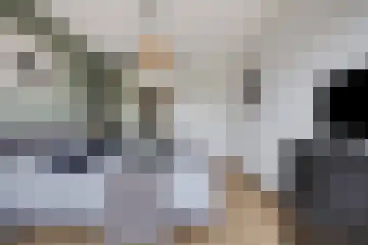 Zilverberg 34 Made thumbnail 22