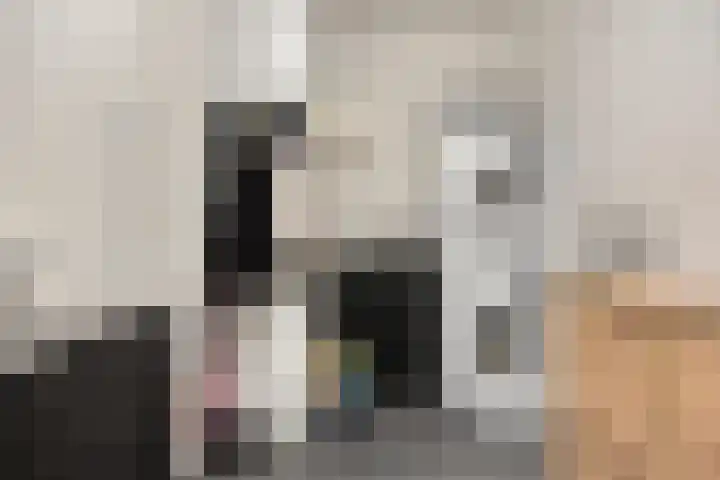 Zilverberg 34 Made thumbnail 28