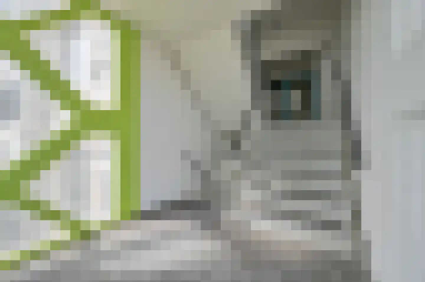 Zilverdenlaan 10 dans Exloo