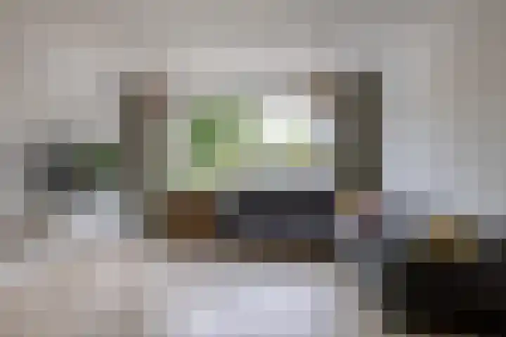 Zilverdistel 11 Rotterdam thumbnail 14