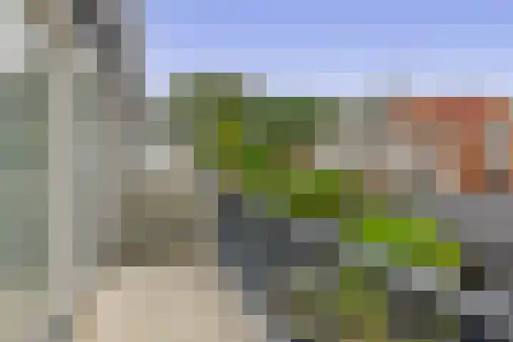 Zilverdistel 11 Rotterdam thumbnail 23