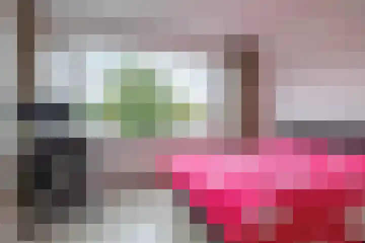 Zilverdistel 11 Rotterdam thumbnail 30