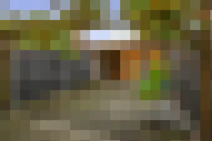 Zilverdistel 11 Rotterdam thumbnail 37
