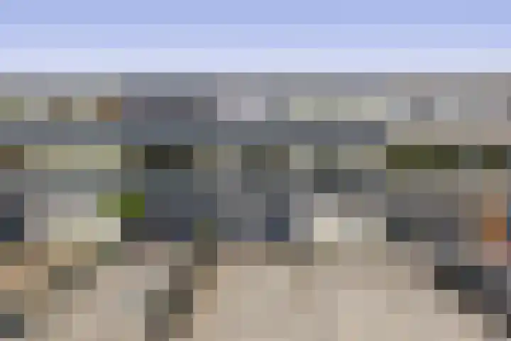 Zilverdistel 11 Rotterdam thumbnail 38
