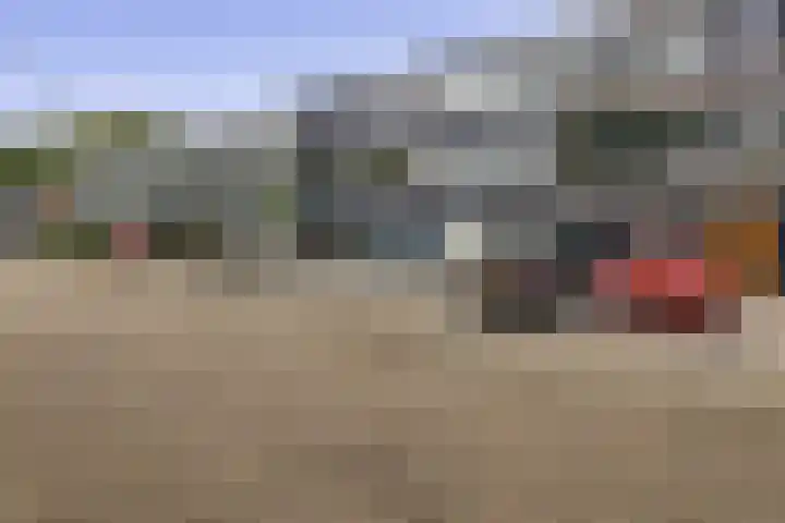 Zilverdistel 11 Rotterdam thumbnail 39