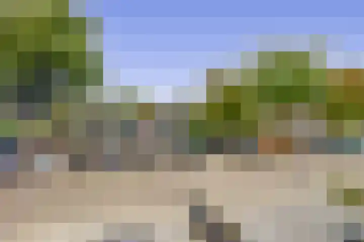 Zilverdistel 11 Rotterdam thumbnail 42