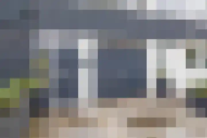 Zilverdistel 11 Rotterdam thumbnail 6