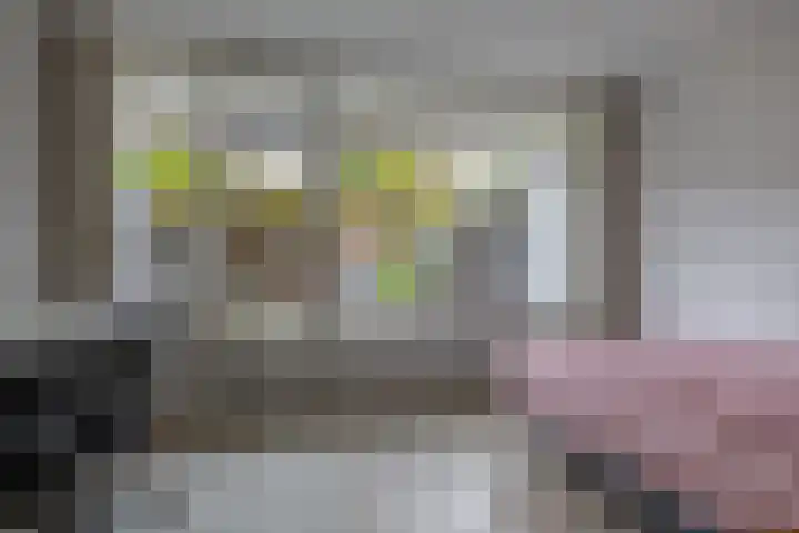 Zilverdistel 11 Rotterdam thumbnail 9
