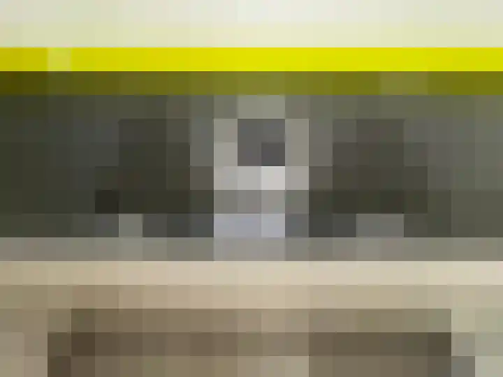 Zilverdistel 5 Montfoort thumbnail 12