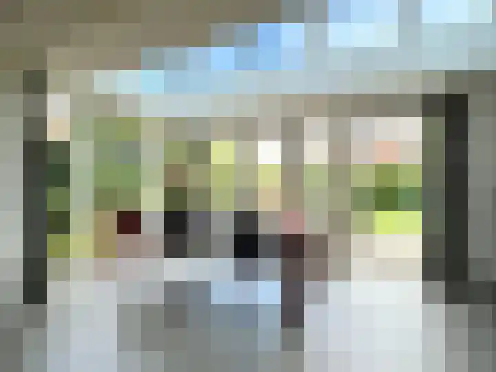 Zilverdistel 5 Montfoort thumbnail 14