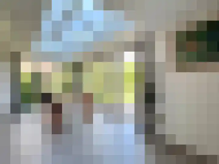 Zilverdistel 5 Montfoort thumbnail 16