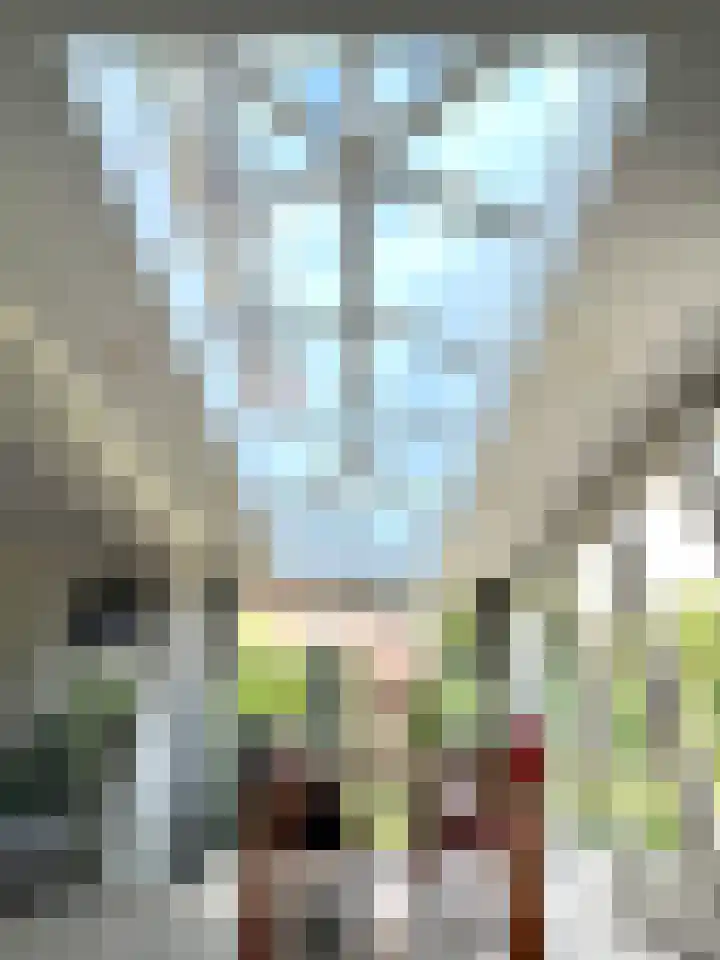 Zilverdistel 5 Montfoort thumbnail 17