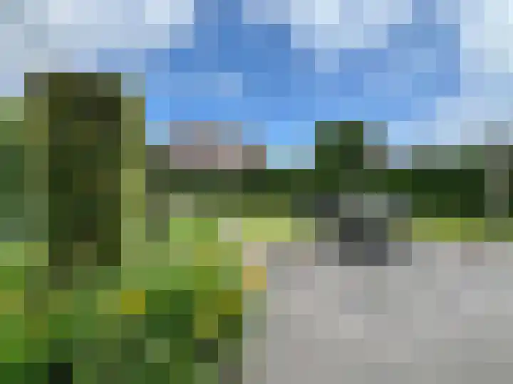 Zilverdistel 5 Montfoort thumbnail 24