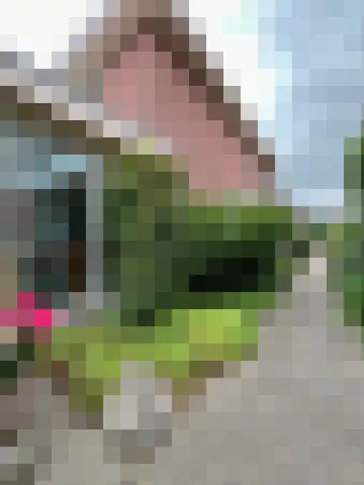 Zilverdistel 5 Montfoort thumbnail 25