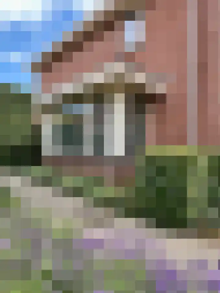 Zilverdistel 5 Montfoort thumbnail 27