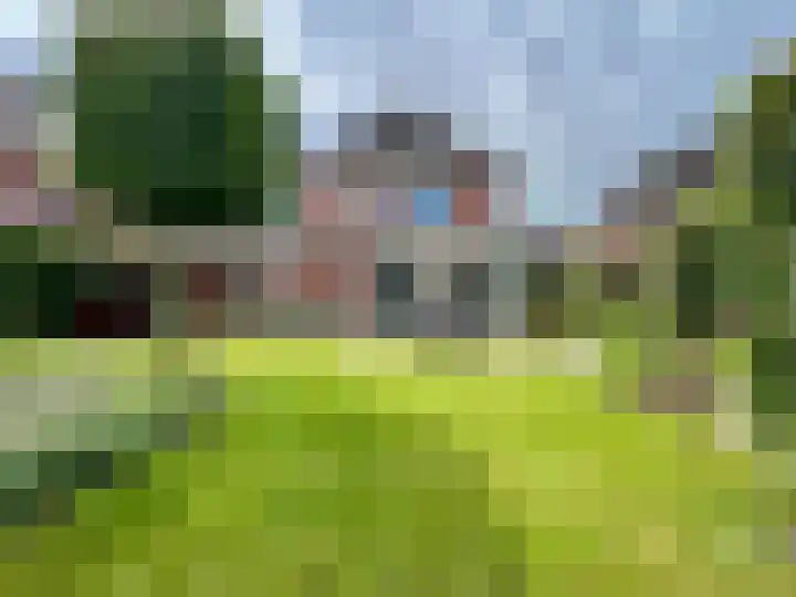 Zilverdistel 5 Montfoort thumbnail 29