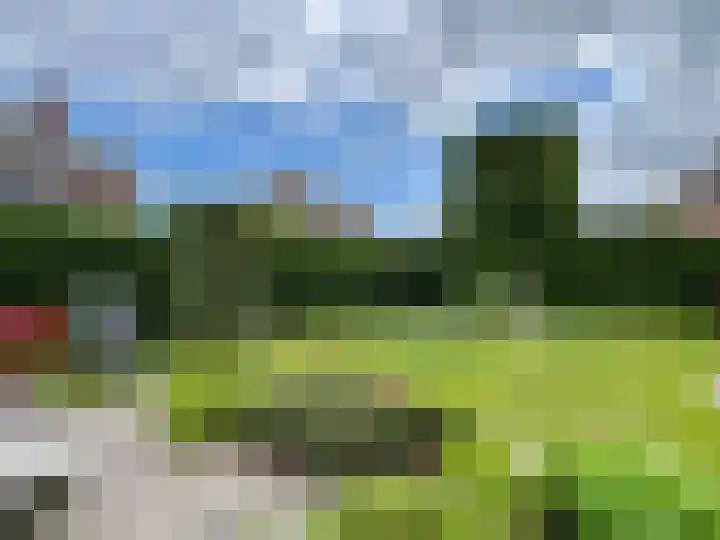 Zilverdistel 5 Montfoort thumbnail 31