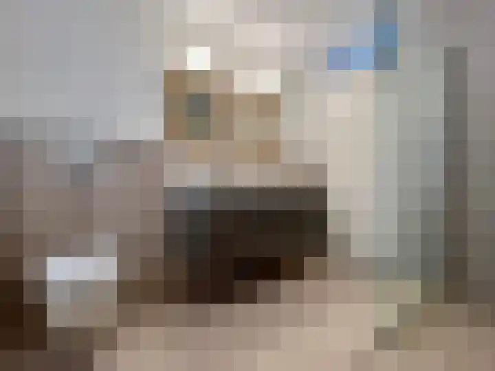 Zilverdistel 5 Montfoort thumbnail 41