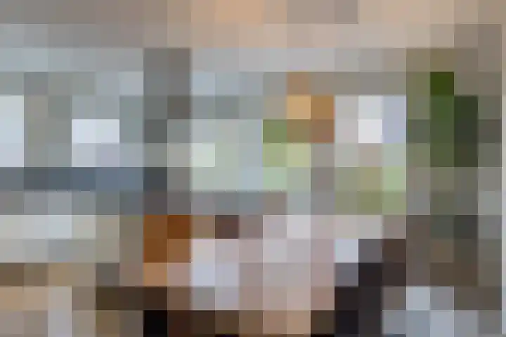 Zilveresdoorn 14 Cuijk thumbnail 10