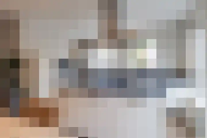 Zilveresdoorn 14 Cuijk thumbnail 11