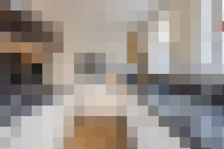 Zilveresdoorn 14 Cuijk thumbnail 12
