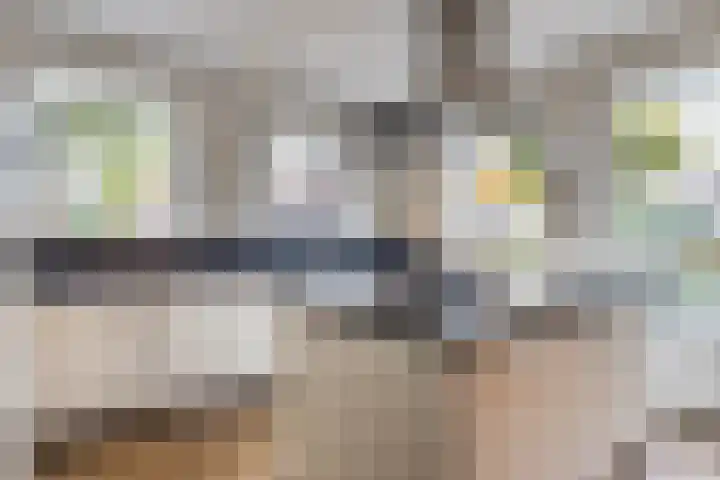 Zilveresdoorn 14 Cuijk thumbnail 13