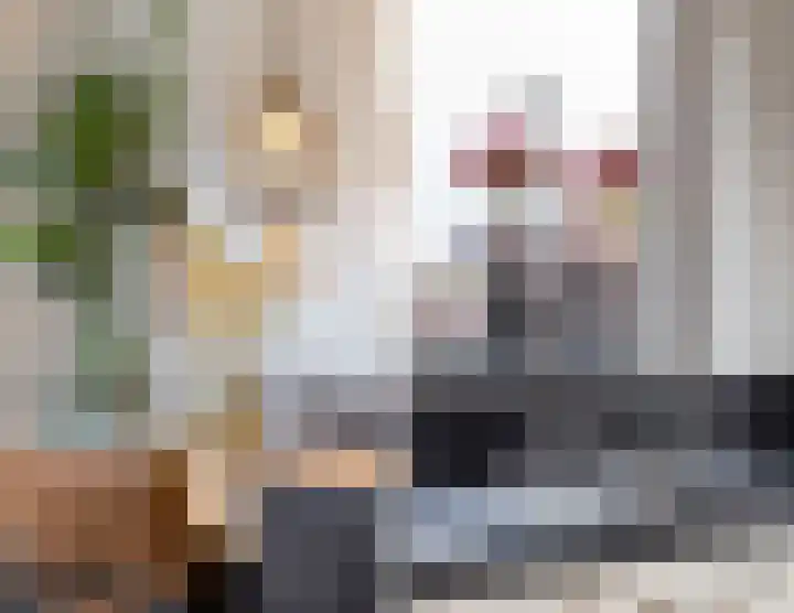 Zilveresdoorn 14 Cuijk thumbnail 14