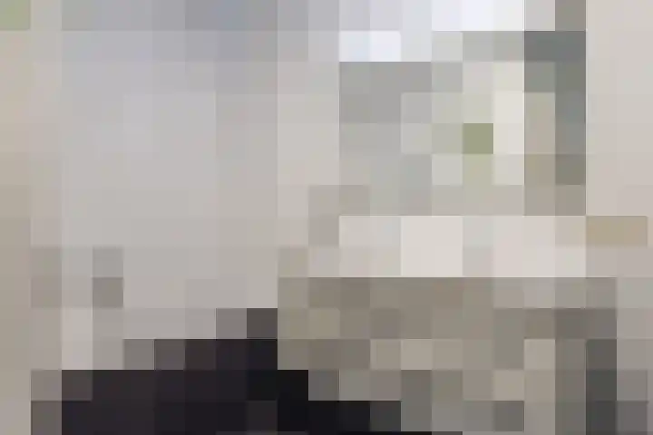 Zilveresdoorn 14 Cuijk thumbnail 23